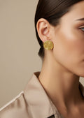 5194 Earrings stainless steel