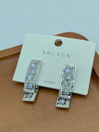 5395 Earrings