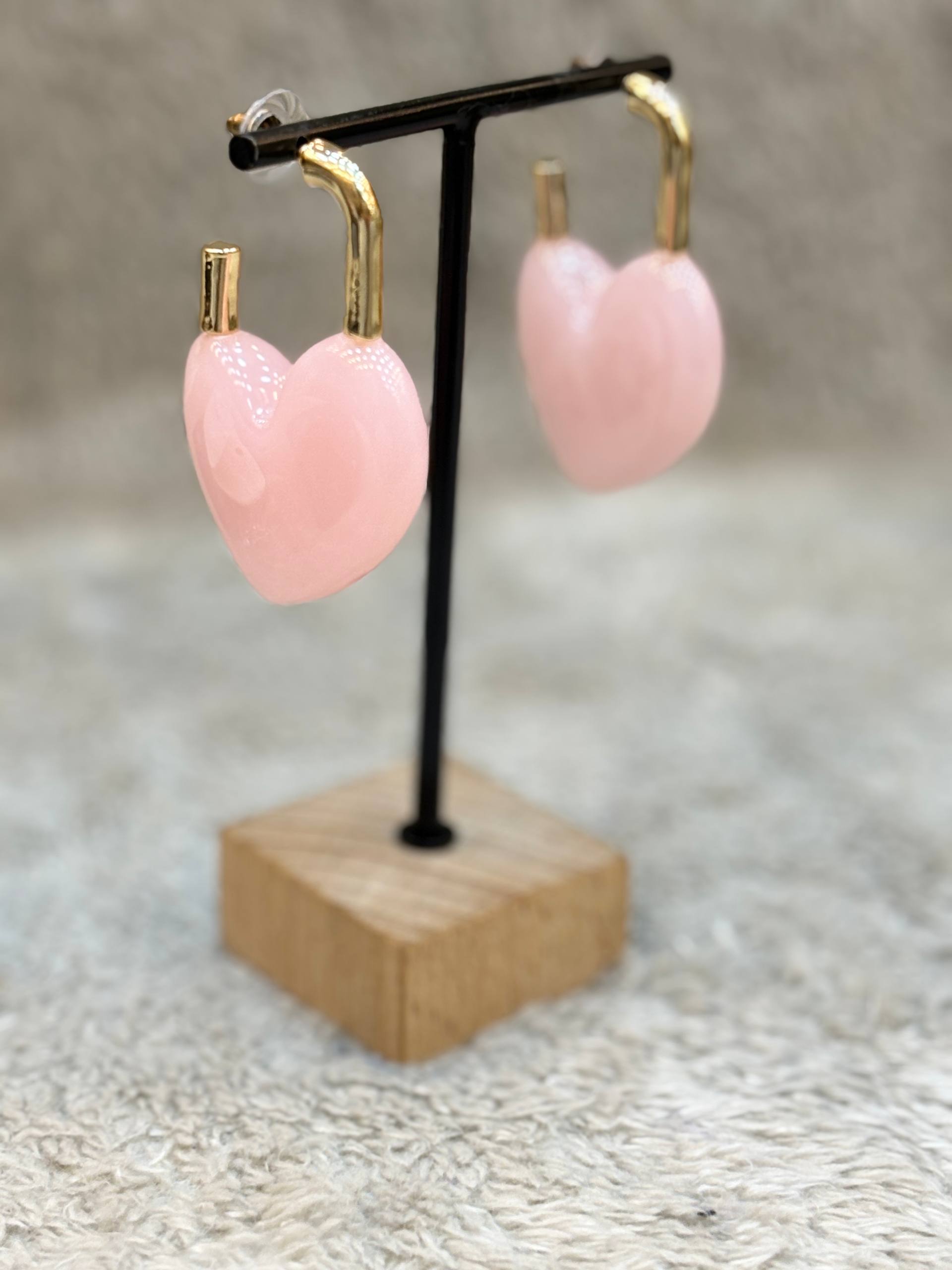 5690 Earrings