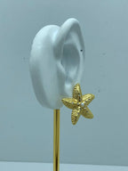 5608 Earrings