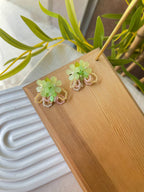 5699 Earrings