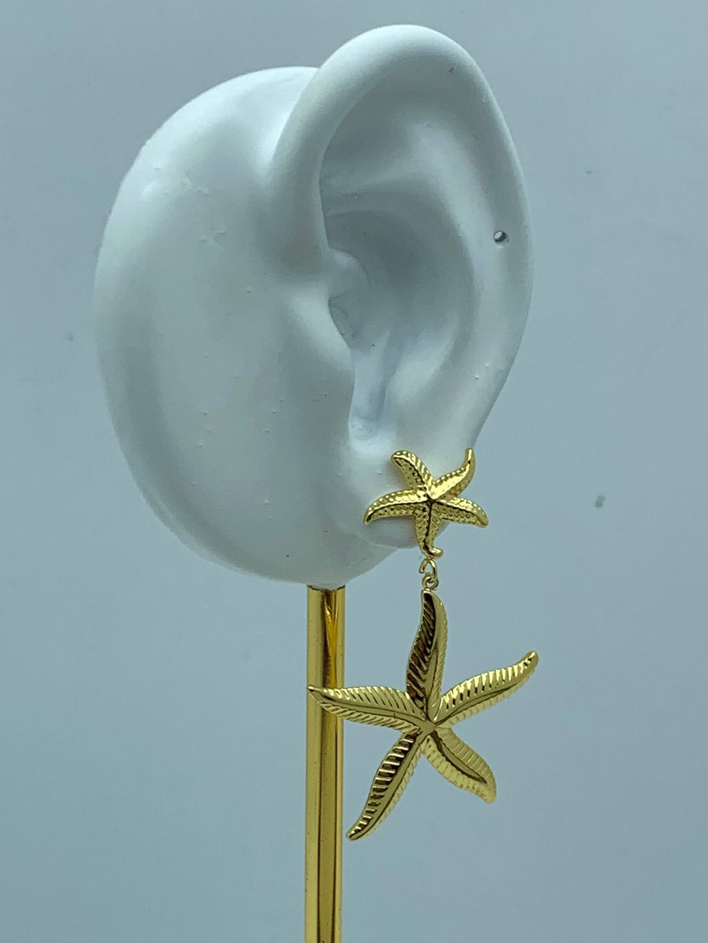 5611 Earrings