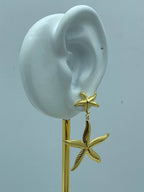 5611 Earrings