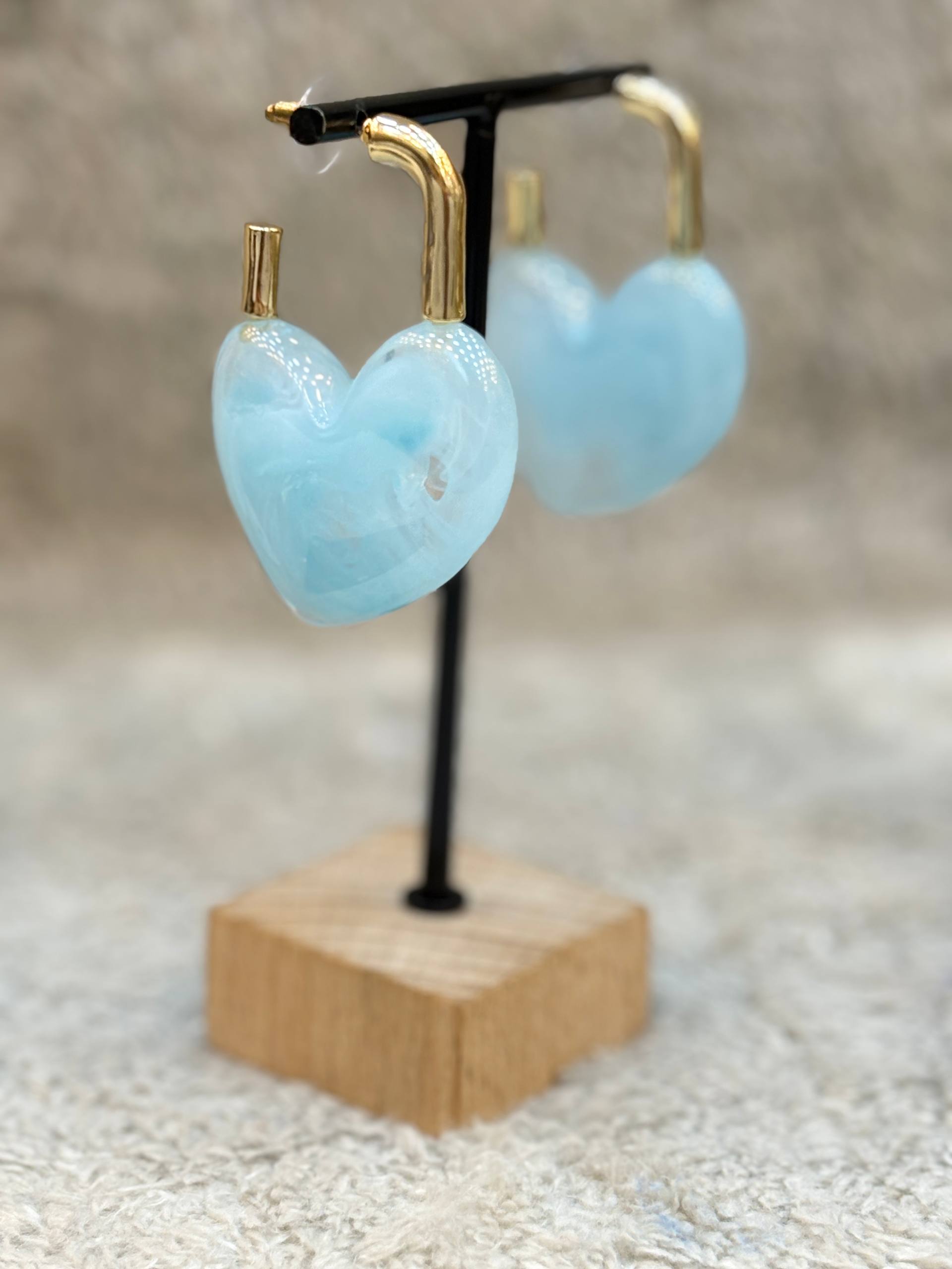 5690 Earrings