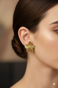 5248 Earrings stainless steel