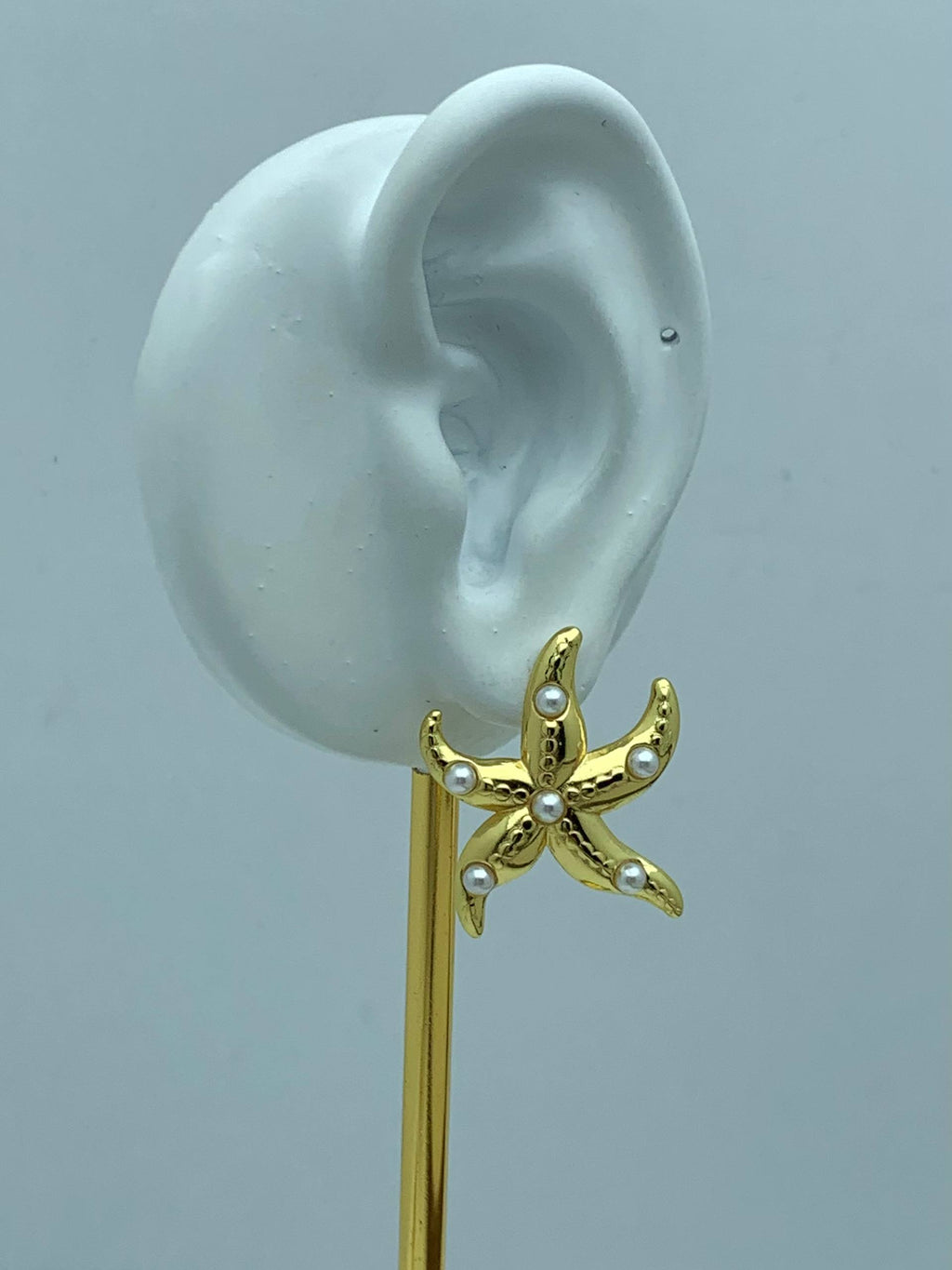 5609 Earrings