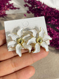 5703 Earrings