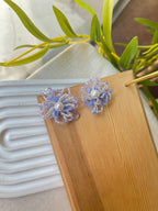5696 Earrings