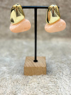 5695 Earrings