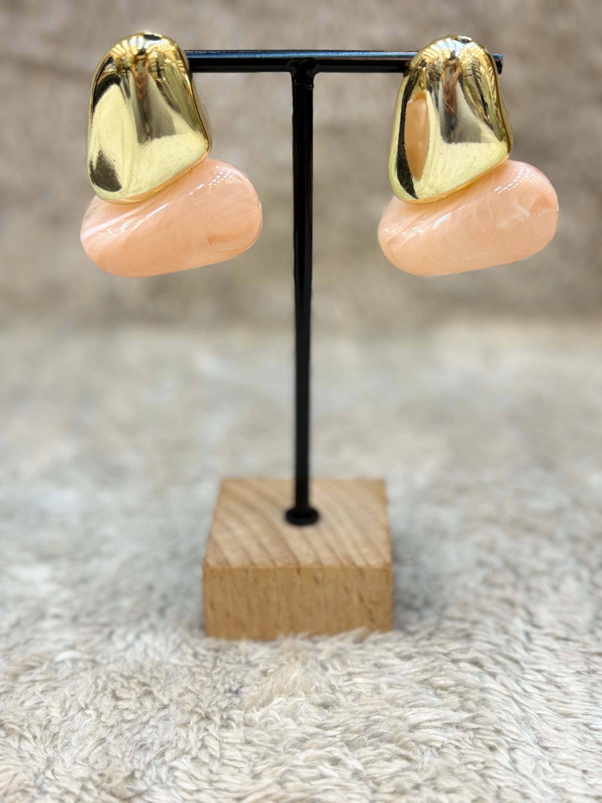 5695 Earrings