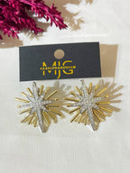 5092 stainless steel Earrings
