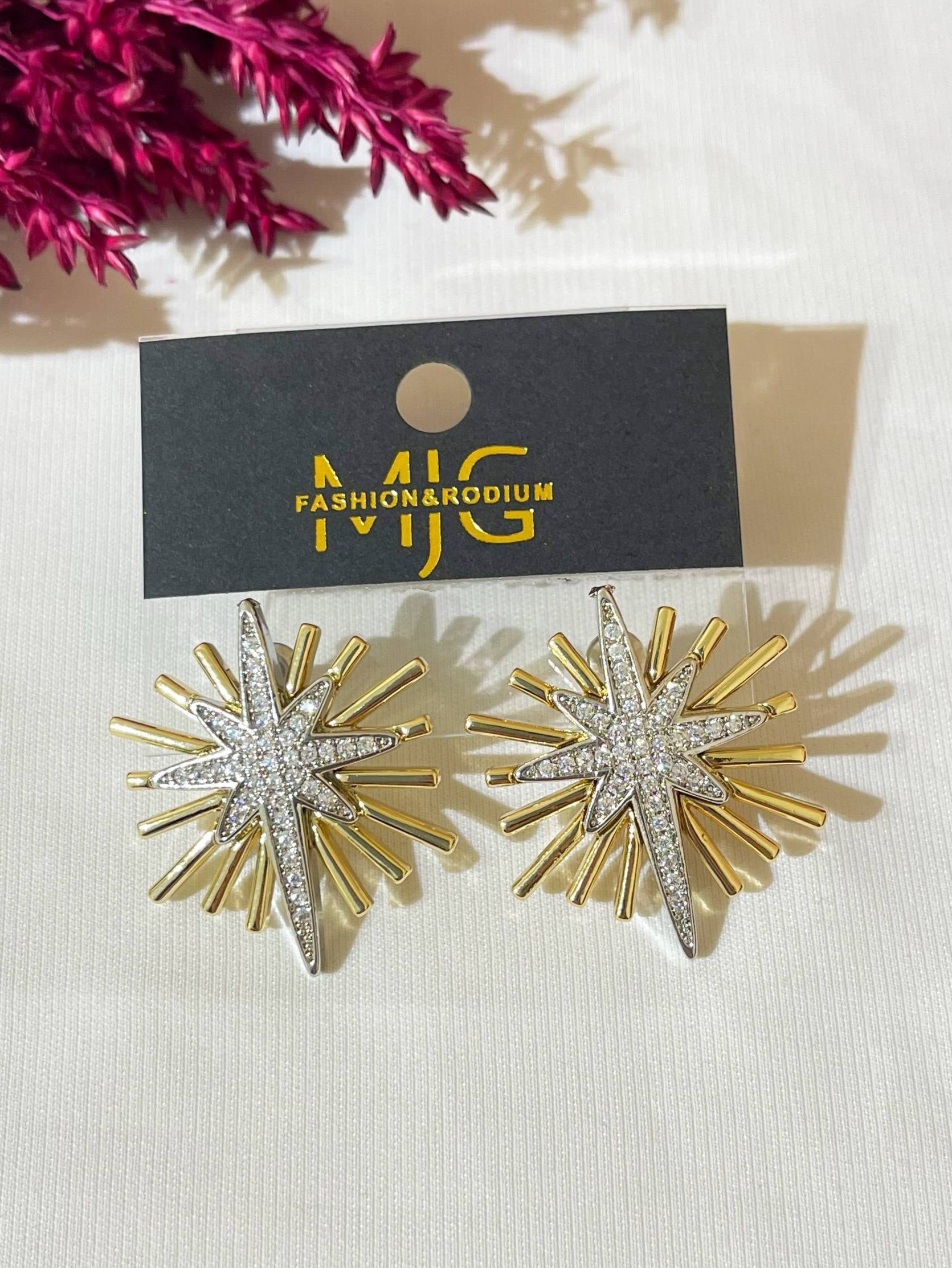 5092 stainless steel Earrings