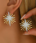 5092 stainless steel Earrings