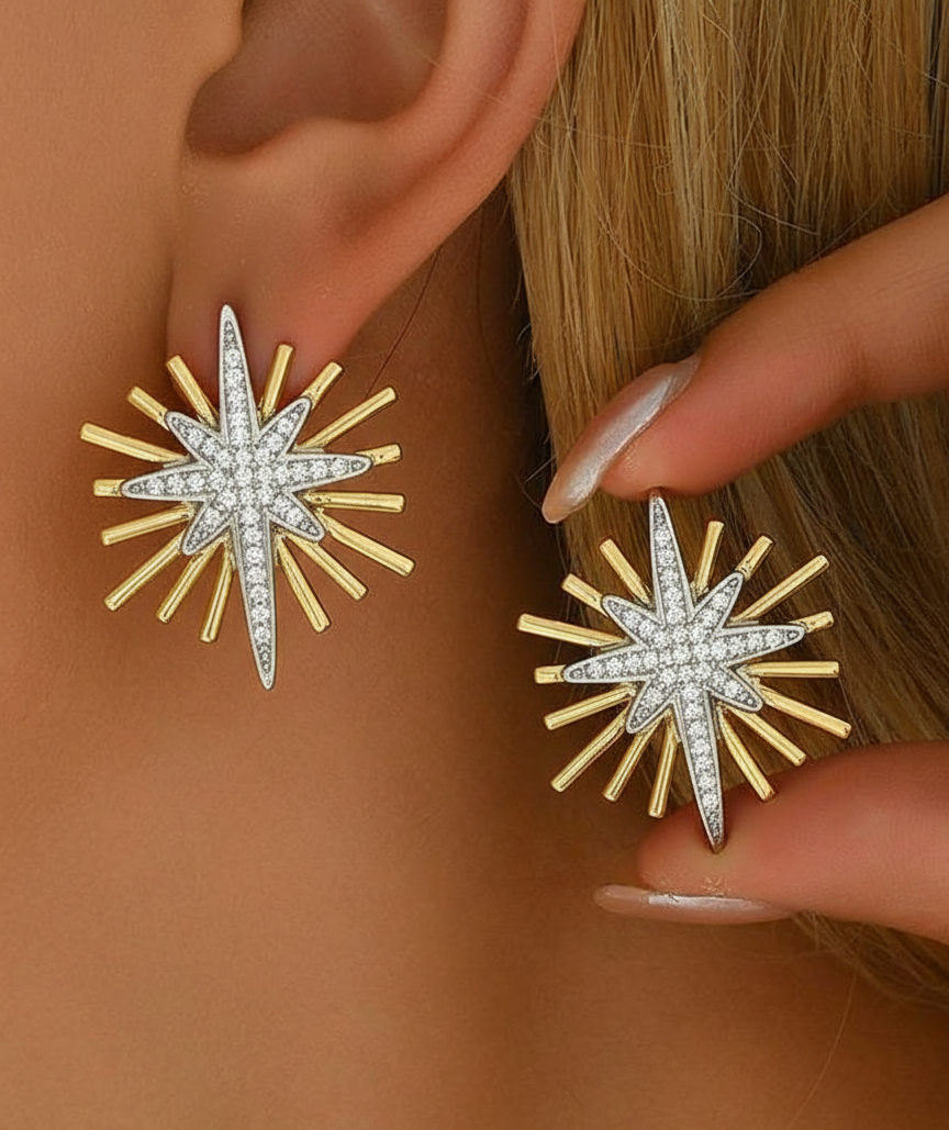 5092 stainless steel Earrings